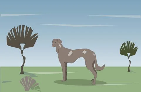 Dog running, color, vector 스톡 일러스트