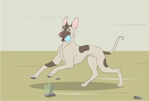Dog running, color, vector Illustrazione stock