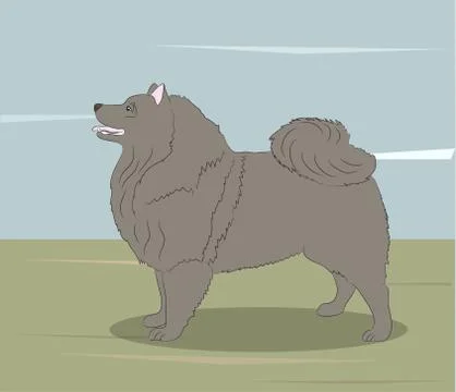 Dog running, color, vector Stock-Illustration