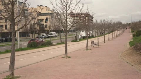 Dog running down long empty urban promenade Stock-Footage 330074092