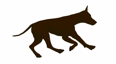 Dog running Stock Footage 941930