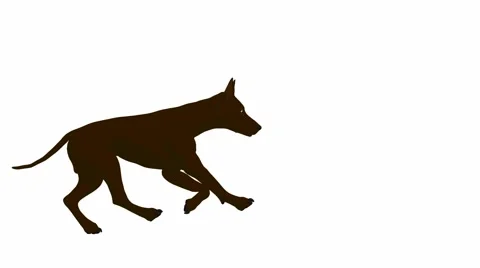 Dog running Stock Footage 941932