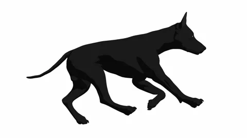 Dog running Stock Footage 941933