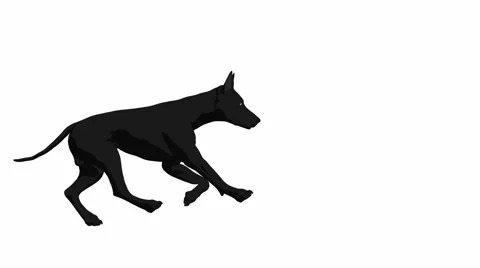 Dog running Stock Footage 941935