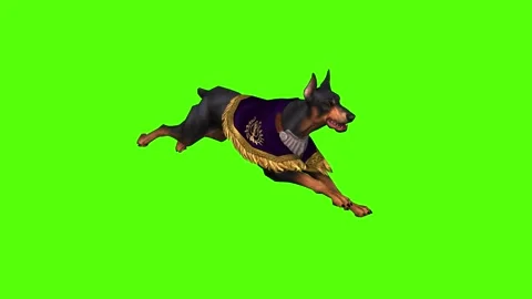 Dog Running Green Screen Animation 4K Rendering Stock Footage 295557997