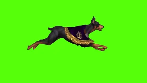 Dog Running Green Screen Animation 4K Rendering Video stock 295558005