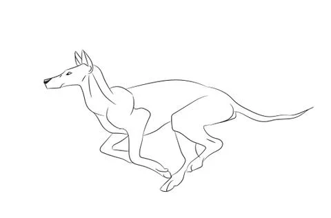 Dog running, lines, vector Illustrazione stock
