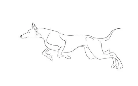 Dog running, lines, vector Stock Illustration