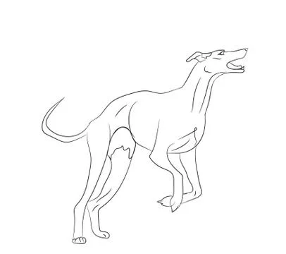 Dog running, lines, vector Stock-Illustration