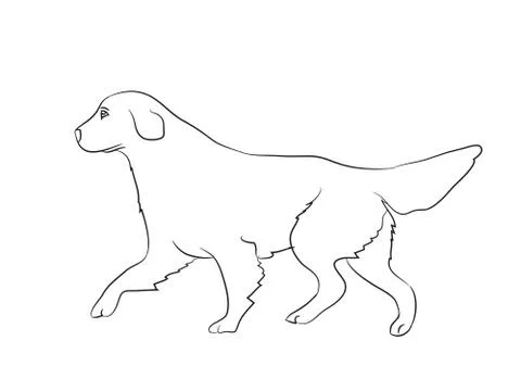 Dog running, lines, vector Stock Illustration