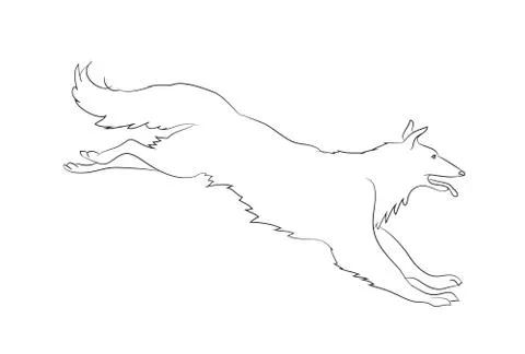 Dog running, lines, vector Illustrazione stock