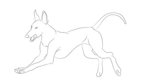Dog running, lines, vector Illustrazione stock