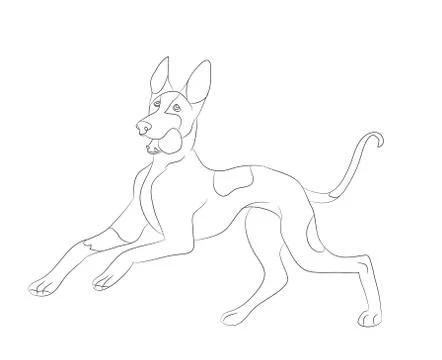 Dog running, lines, vector Stock Illustration