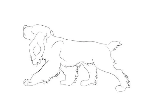Dog running, lines, vector Stock Illustration
