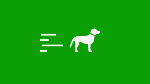 Dog running with motion blur effect on green screen background. Vidéo 347377626