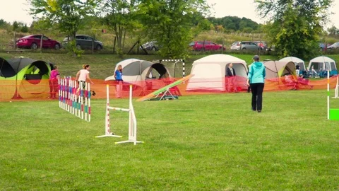A dog running on a teeter on a dog agility test Stock Footage 118014689