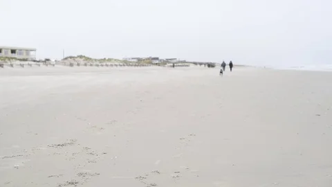 Dog running towards camera beach overcast Stock Footage 75763747