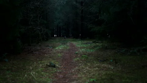 Dog Running Towards Camera In Forest 스톡 동영상 131115319