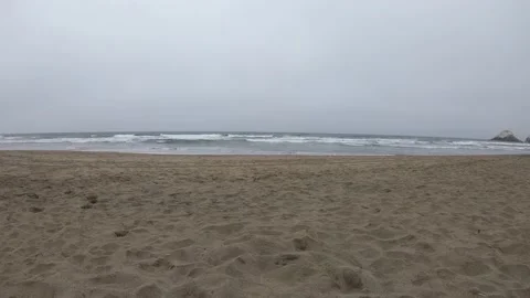 Dog Runs On Beach Stock Footage 131114413