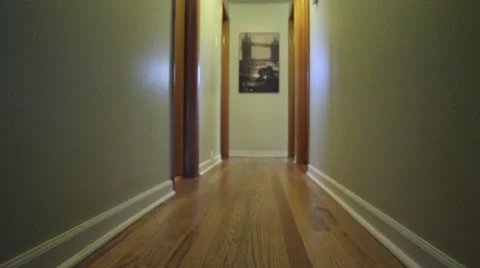 Dog Runs Down Hallway Stock Footage 34560317