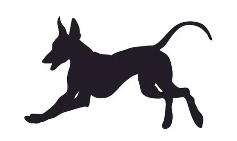 Dog runs silhouette, vector Stock-Illustration
