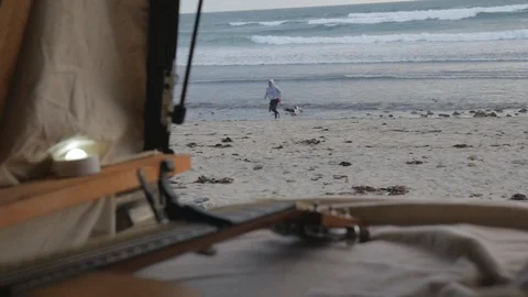Dog Runs With Surfer Stock Footage 87715246