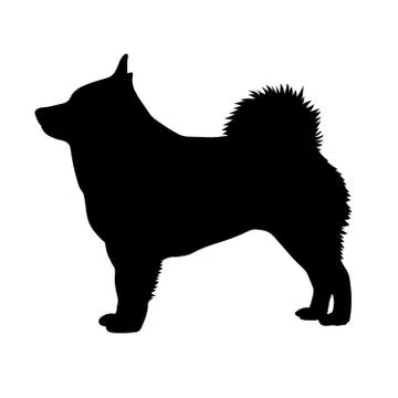Dog Schipperke. Silhouette. Vector Stock Illustration