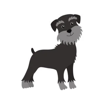 Dog Schnauzer black Stock Illustration