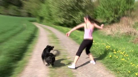 Dog seeking a ball in the thick grass 스톡 동영상 40391480