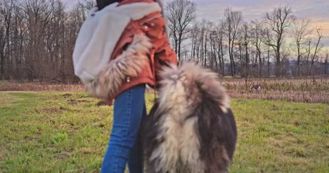 The dog sees the cat Stock Footage 145920296