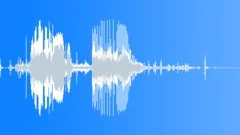 Dog Shake Fur CollarSound Effect