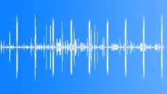 Dog Show Atmosphere 3Sound Effect