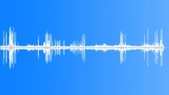 Dog show atmosphere Sound Effect