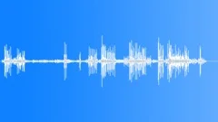 Dog show atmosphere Sound Effect