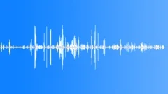 Dog show atmosphere Sound Effect