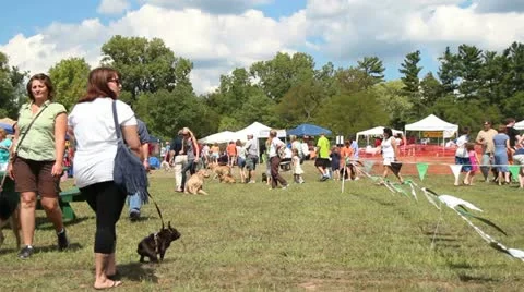 Dog Show Stock Footage 11722922