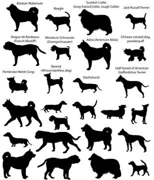 Dog show silhouettes Stock Illustration