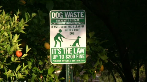 Dog sign Stock Footage 400994