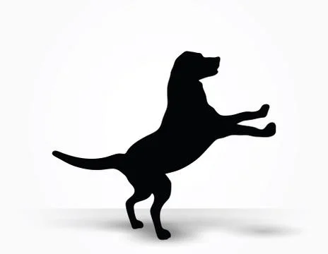 Dog silhouette Stock Illustration