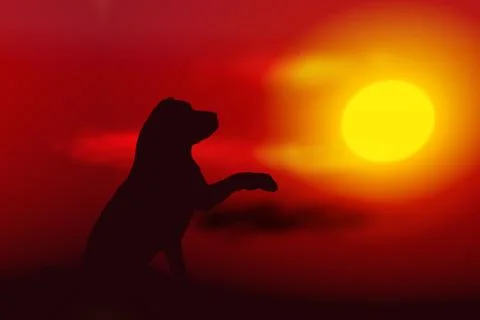 Dog silhouette Stock Illustration