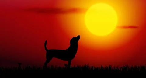 Dog silhouette Stock Illustration