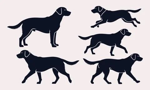Dog Silhouette Set with Different Poses Running Standing and Jumping Stock Illustration