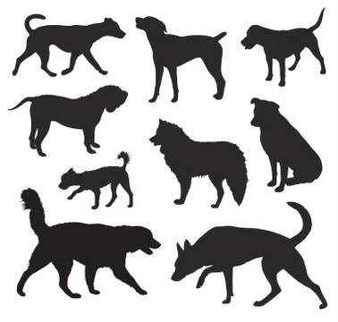 Dog Silhouettes set Stock Illustration