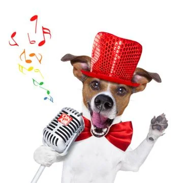 Dog singing with microphone Stock-Fotos