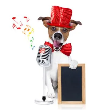 Dog singing with microphone Stock-Fotos