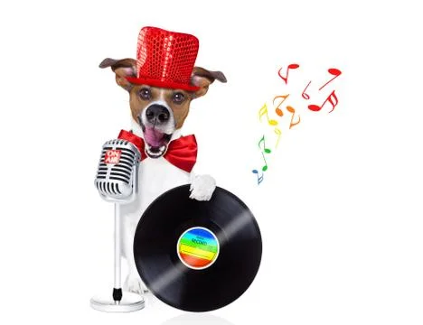 Dog singing with microphone 스톡 사진