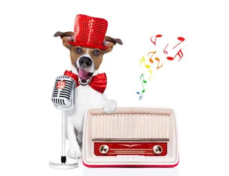 Dog singing with microphone Stock Photos