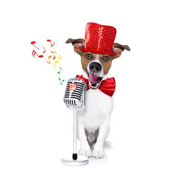 Dog singing with microphone Stock-Fotos