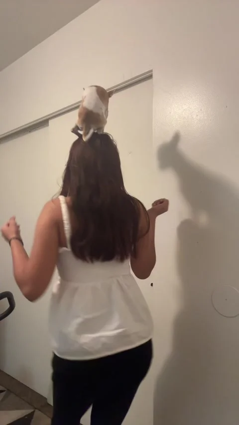 Dog Sits on Dancing Woman's Head - 04 Aug 2025 Stock Footage 315063638