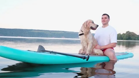 The dog sits on the paddleboard with the owner. Stock Footage 202315538